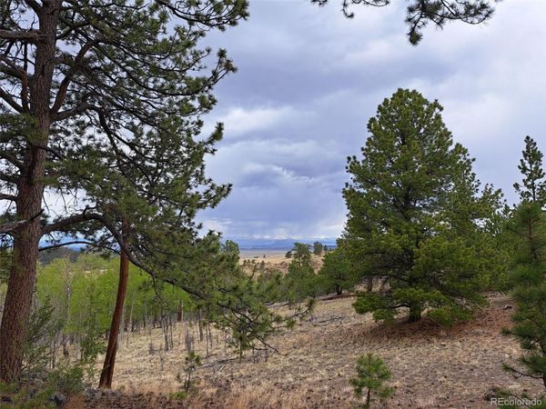 00 Dog Soldier Trail, Hartsel, CO 80449