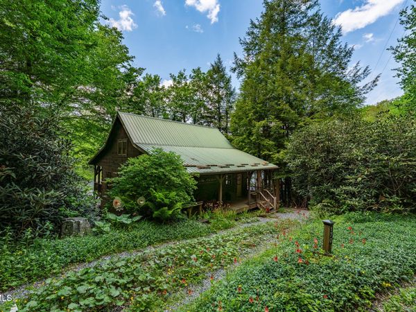 170 Ripshin Lake Road, Roan Mountain, TN 37687