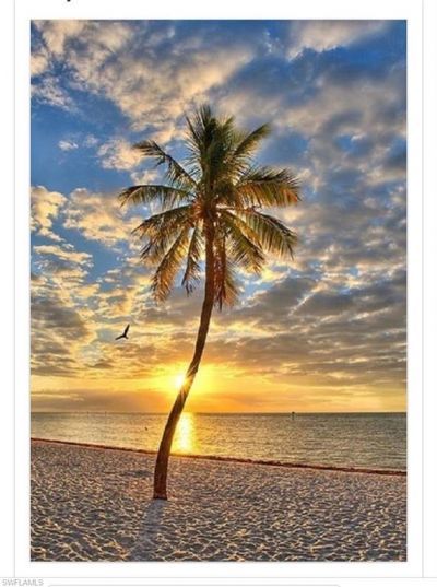 266 Barefoot Beach Blvd, Unit 504, Bonita Springs, FL 34134 Photo