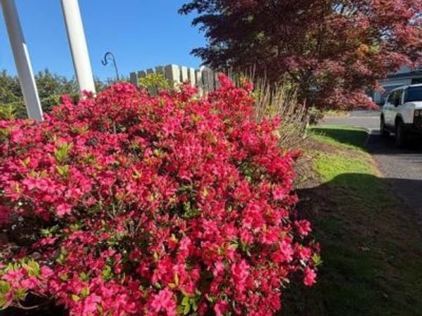 253 PRINCE WILLIAM WAY, CHALFONT, PA 18914