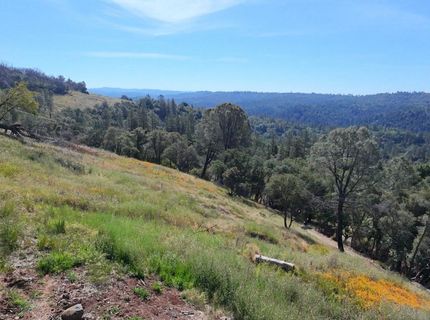 1687 Duden Dr, Placerville, CA 95667 Photo