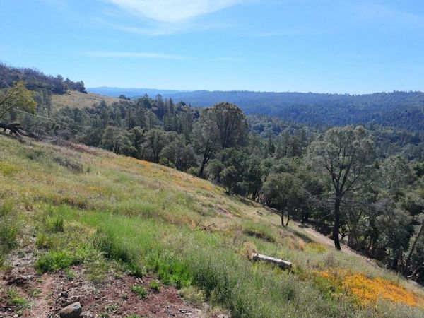 1687 Duden Dr, Placerville, CA 95667