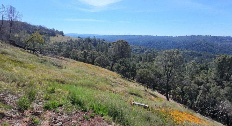 1687 Duden Dr, Placerville, CA 95667 Photo