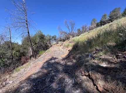 1687 Duden Dr, Placerville, CA 95667 Photo