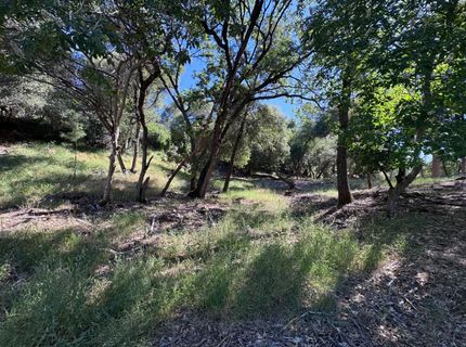 1687 Duden Dr, Placerville, CA 95667 Photo