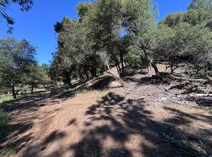 1687 Duden Dr, Placerville, CA 95667 Photo