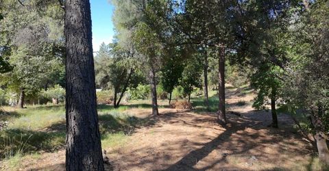 1687 Duden Dr, Placerville, CA 95667 Photo