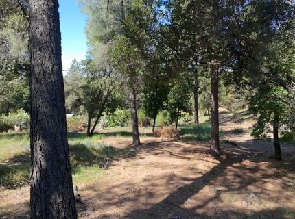1687 Duden Dr, Placerville, CA 95667 Photo