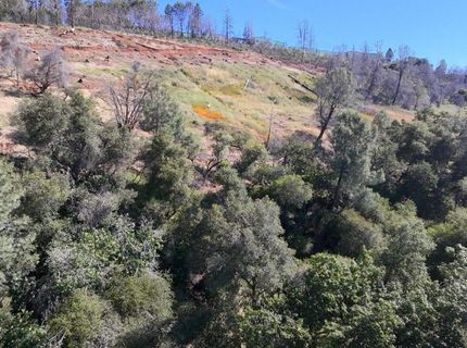 1687 Duden Dr, Placerville, CA 95667 Photo