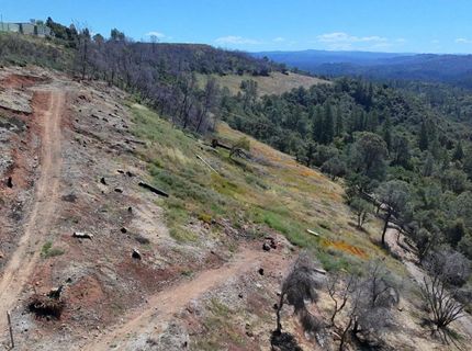 1687 Duden Dr, Placerville, CA 95667 Photo