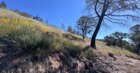 1687 Duden Dr, Placerville, CA 95667 Photo