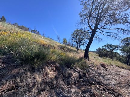1687 Duden Dr, Placerville, CA 95667 Photo