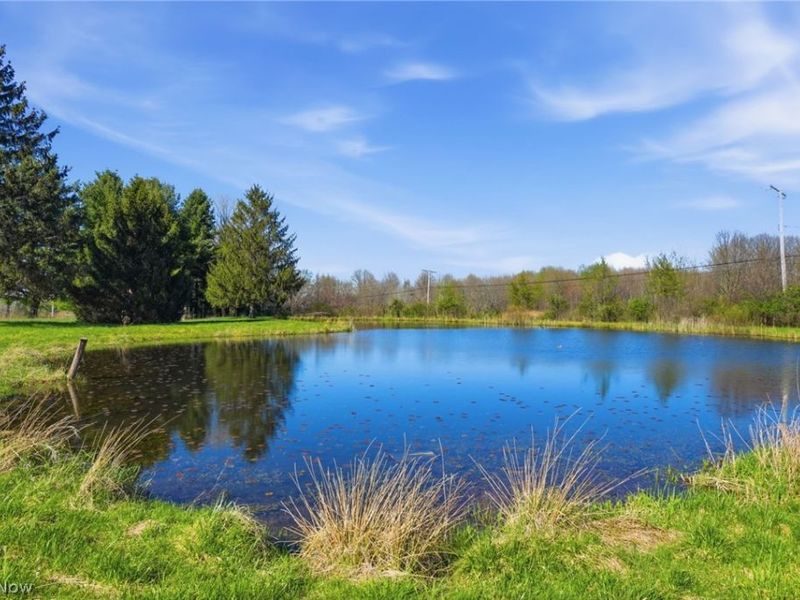 1243 State Route 167, Jefferson, OH 44047 Photo 8
