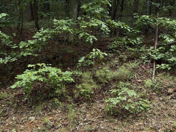 000 WHITE OAK Court , Fairfield Bay, AR 72088