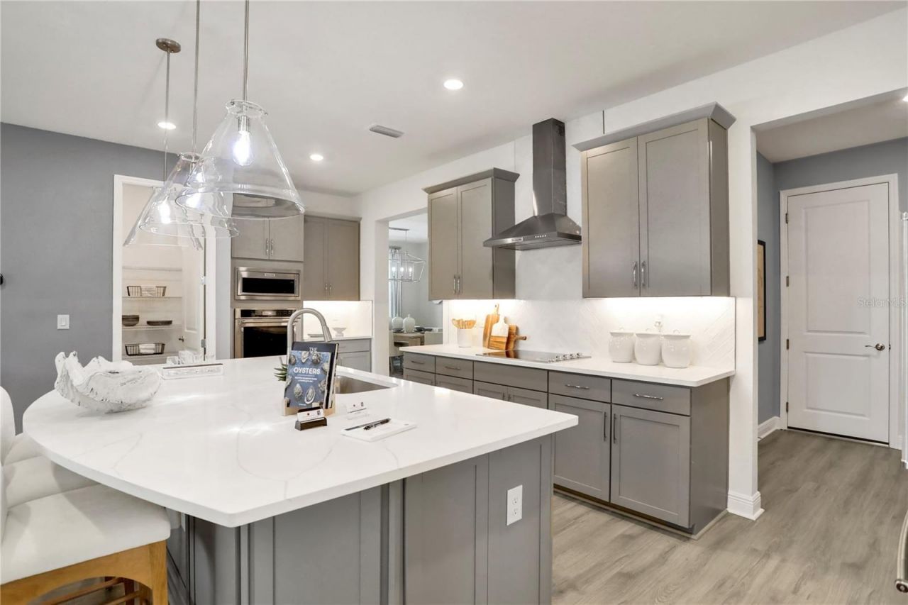 17558 Valleywood Parkway, Land O Lakes, FL 34638 Photo