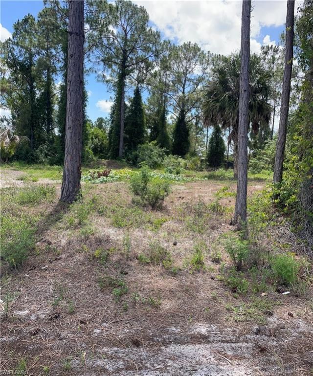 3011 33rd St Sw, Lehigh Acres, FL 33976 Photo