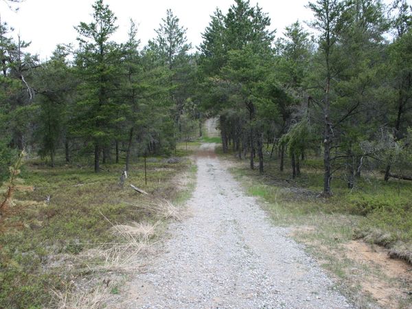 13.02 AC Eagle Way, West Branch, MI 48661
