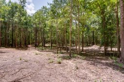 618 Meadowlark Road  photo 4