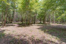 618 Meadowlark Road  photo 4