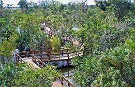 4601 NW 2nd Avenue, Unit 805, Boca Raton, FL 33431 Photo