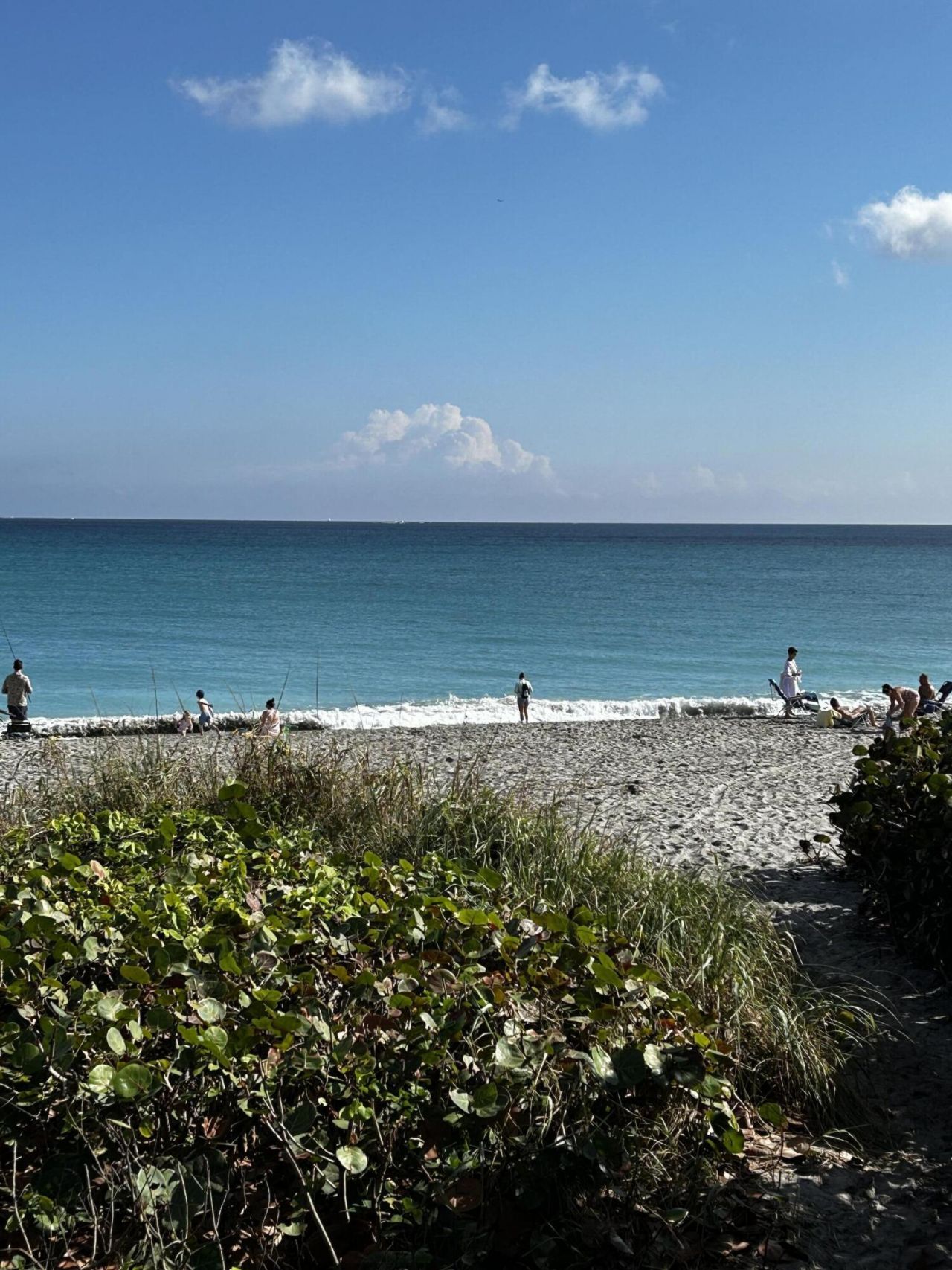 120 Lehane Terrace, Unit 309, North Palm Beach, FL 33408 Photo
