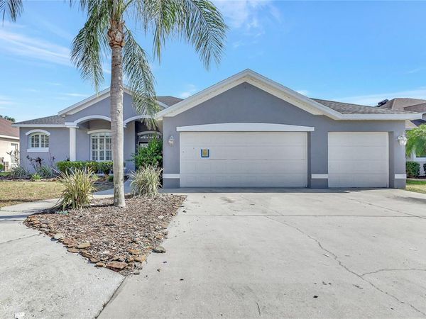 2863 DUNCAN TREE CIRCLE , VALRICO, FL 33594