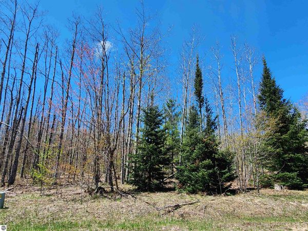 454 Pleasant Ridge Drive, Mancelona, MI 49659