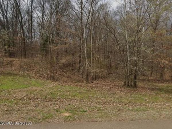 4419 W Dickens Place Drive, Southaven, MS 38671