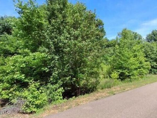 4419 W Dickens Place Drive, Southaven, MS 38671