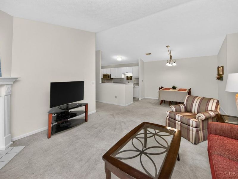 12031 Carrington Lane, Unit 206, Symmes Township, OH 45140 Photo 14
