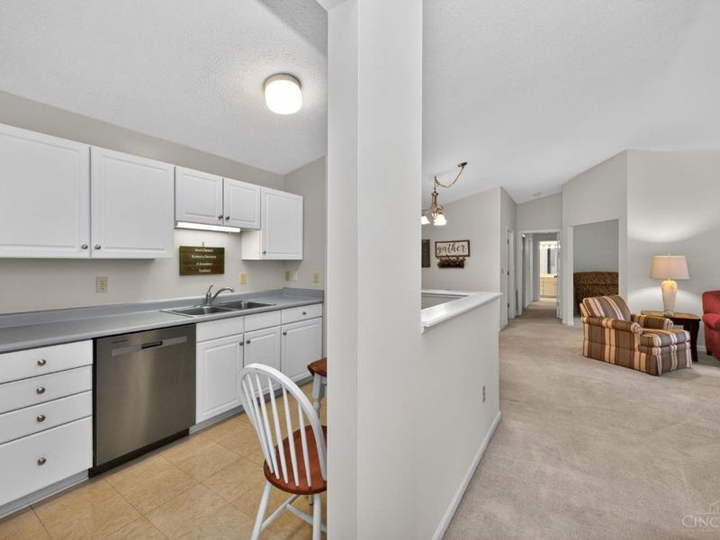 12031 Carrington Lane, Unit 206, Symmes Township, OH 45140 Photo 6