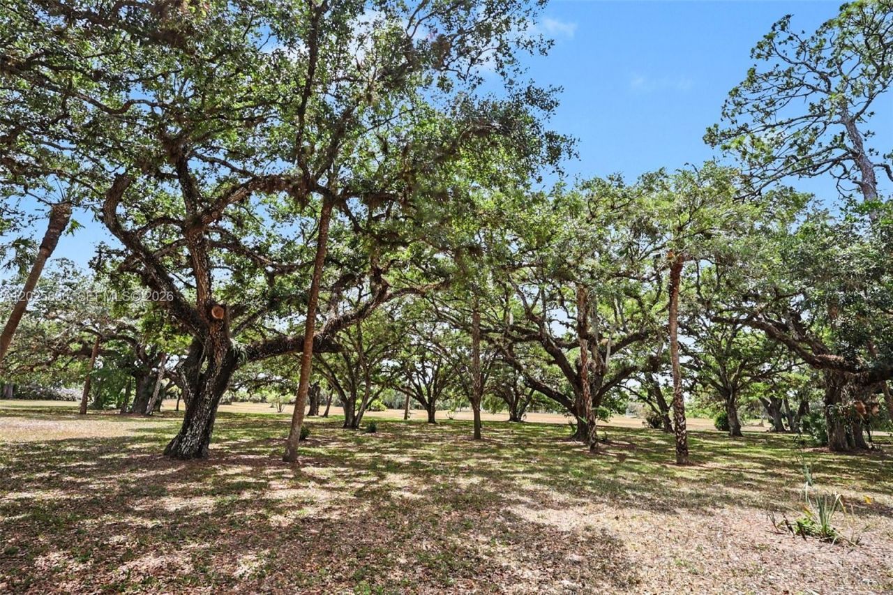 3079 Frontier Cir , Labelle, FL 33935 Photo
