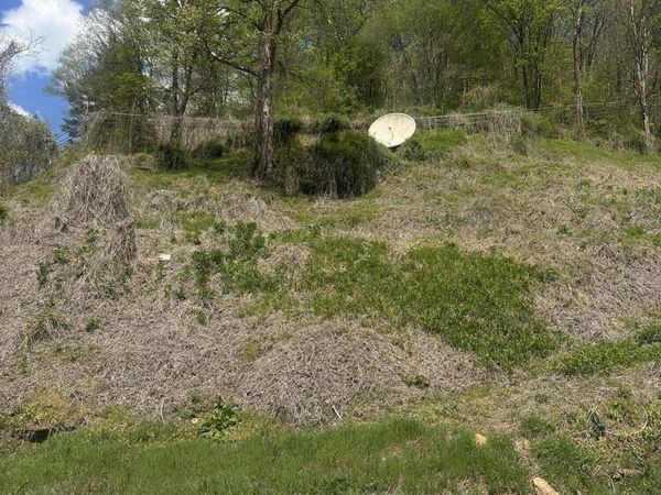 Tbd Dante Mountain Road, McClure, VA 62957