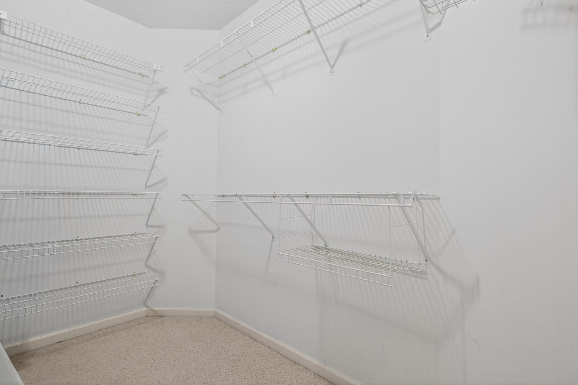 141 Isherwood Drive Photo 68