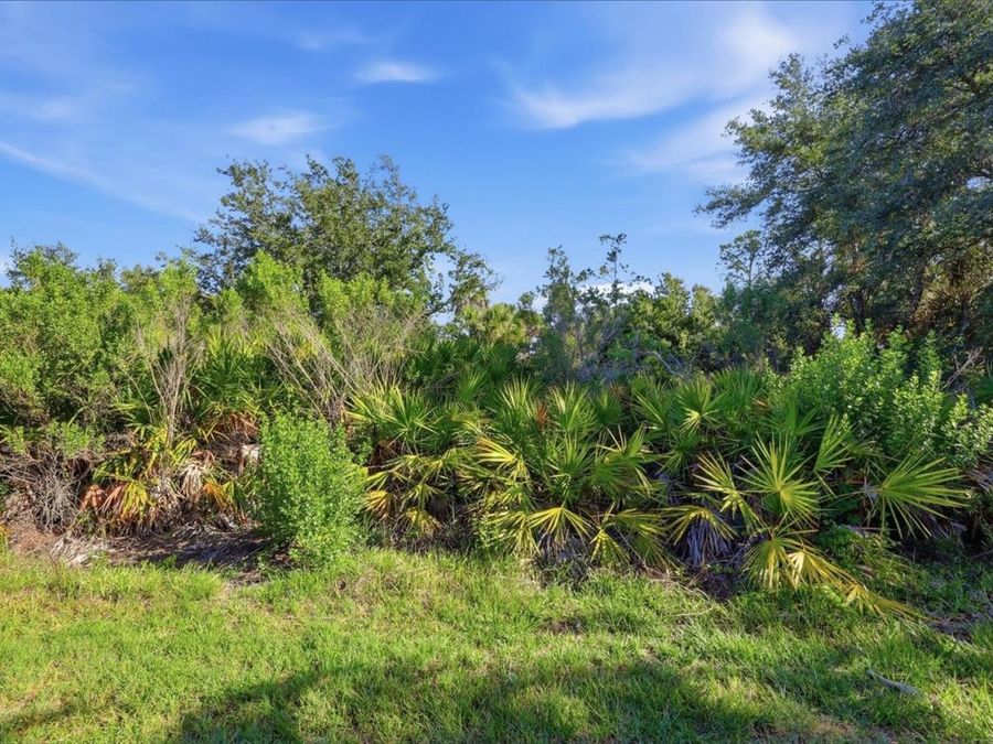 Property Image 61