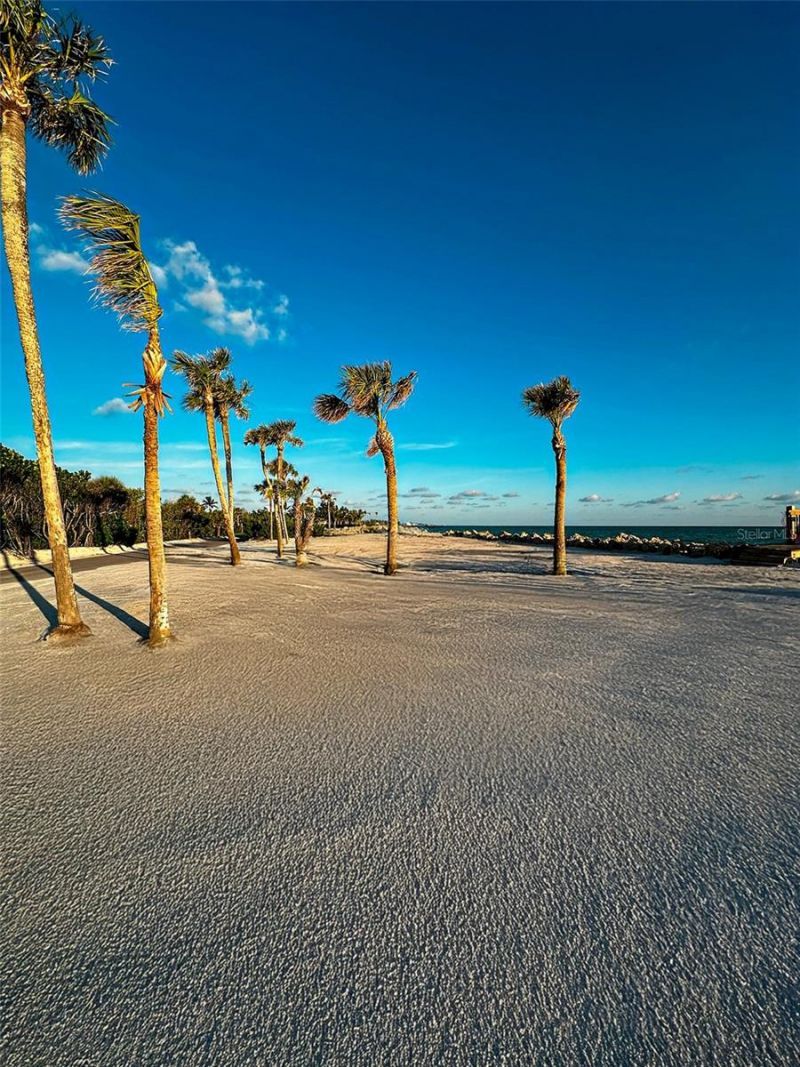 7825 Sanderling Road, Sarasota, FL 34242 Photo