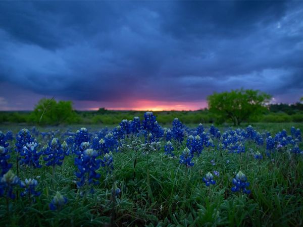272 Slate Rock RD, Willow City, TX 78675