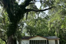 648 Society Road photo 4