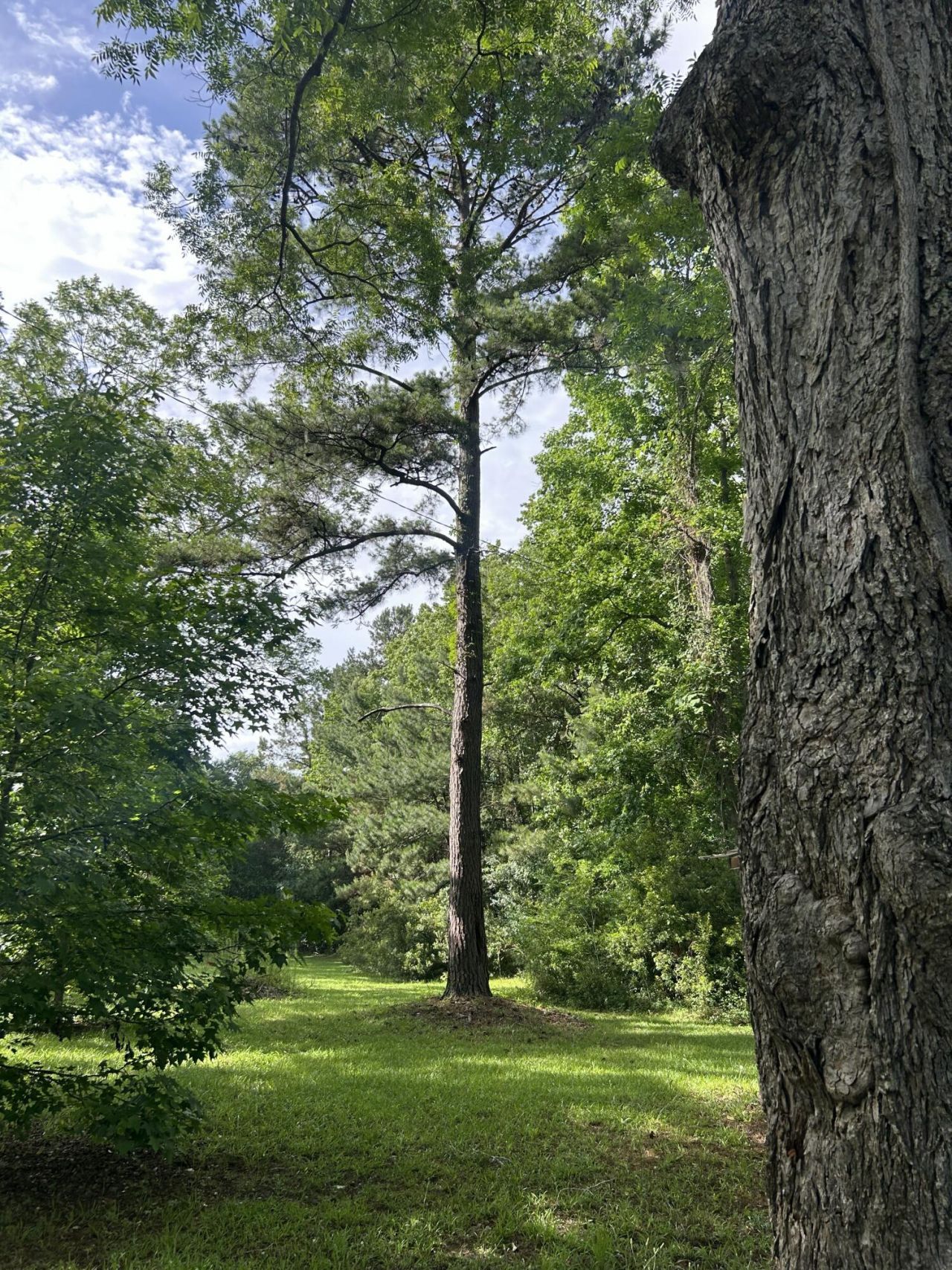 648 Society Road Photo 5