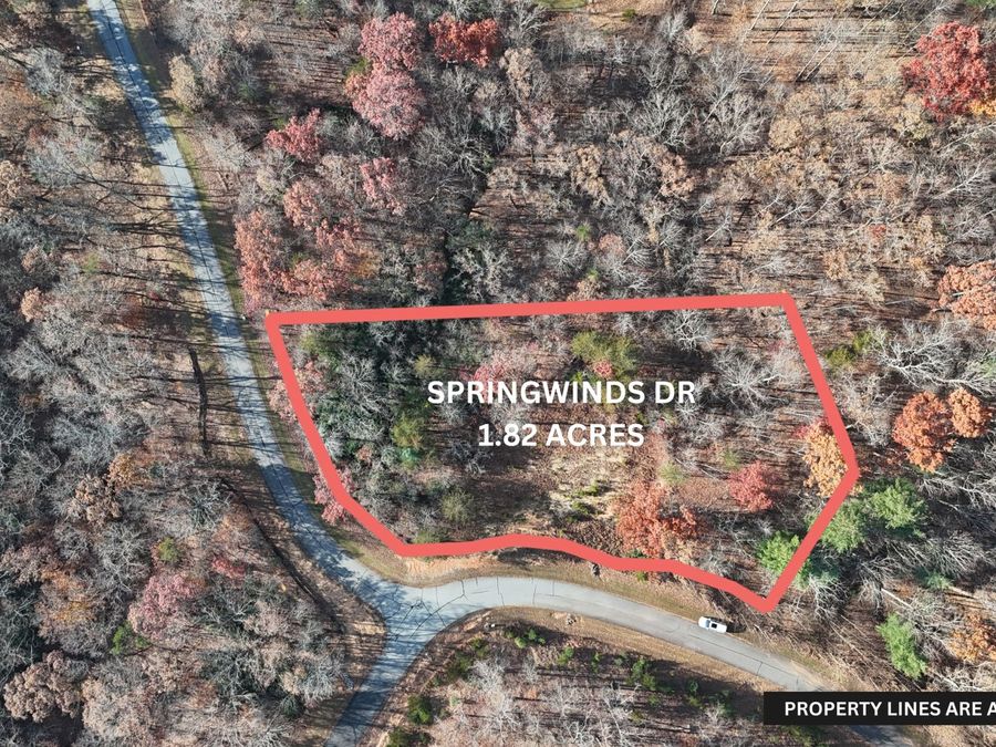 Property Image 4