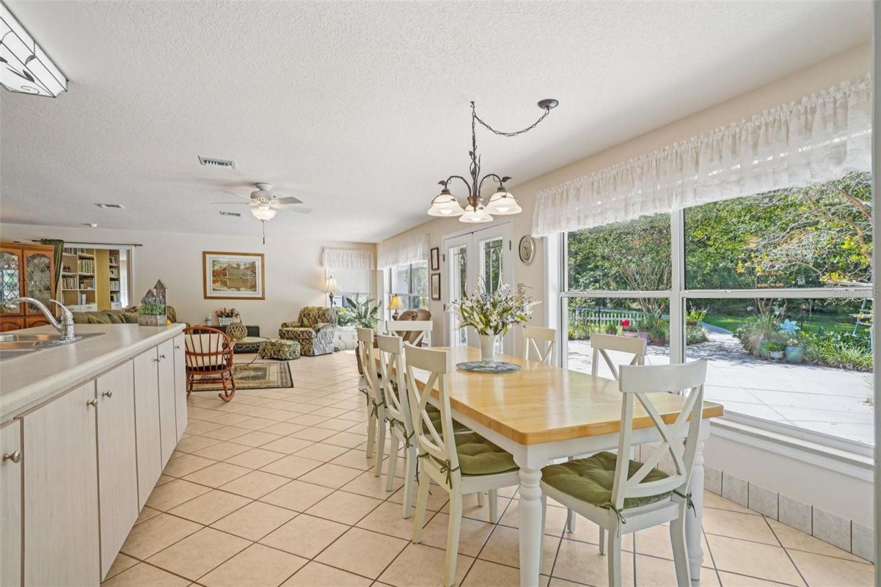 4546 Griffin View Drive, Lady Lake, FL 32159 Photo
