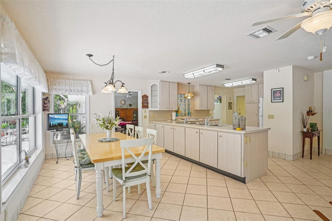 4546 Griffin View Drive, Lady Lake, FL 32159 Photo