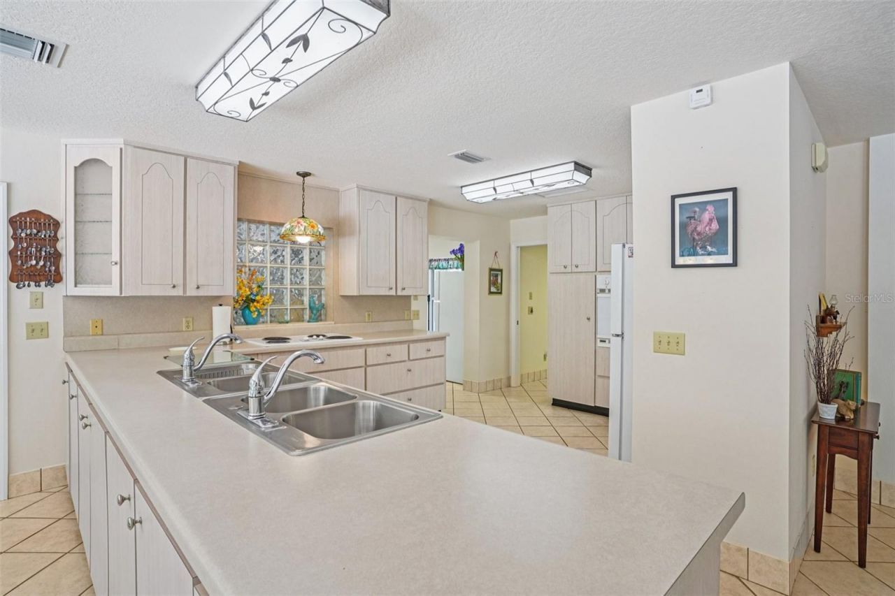 4546 Griffin View Drive, Lady Lake, FL 32159 Photo