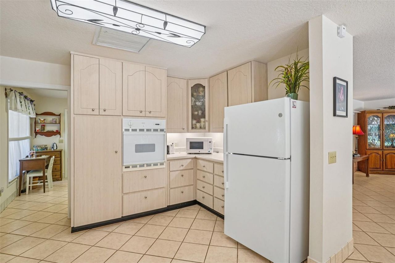 4546 Griffin View Drive, Lady Lake, FL 32159 Photo