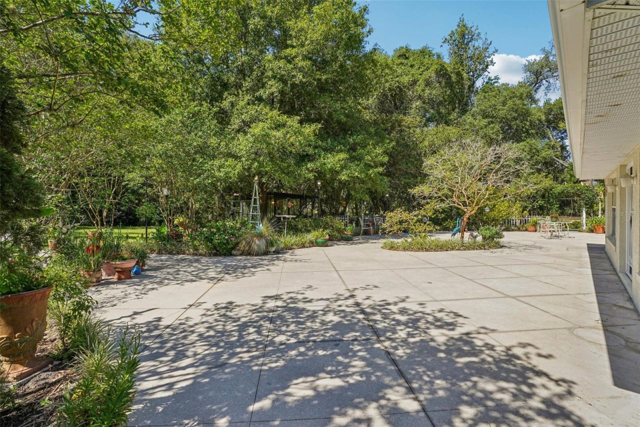 4546 Griffin View Drive, Lady Lake, FL 32159 Photo