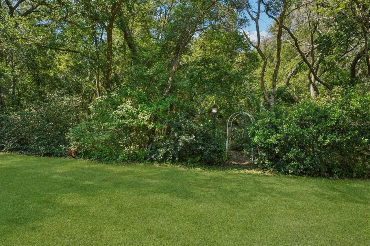 4546 Griffin View Drive, Lady Lake, FL 32159 Photo