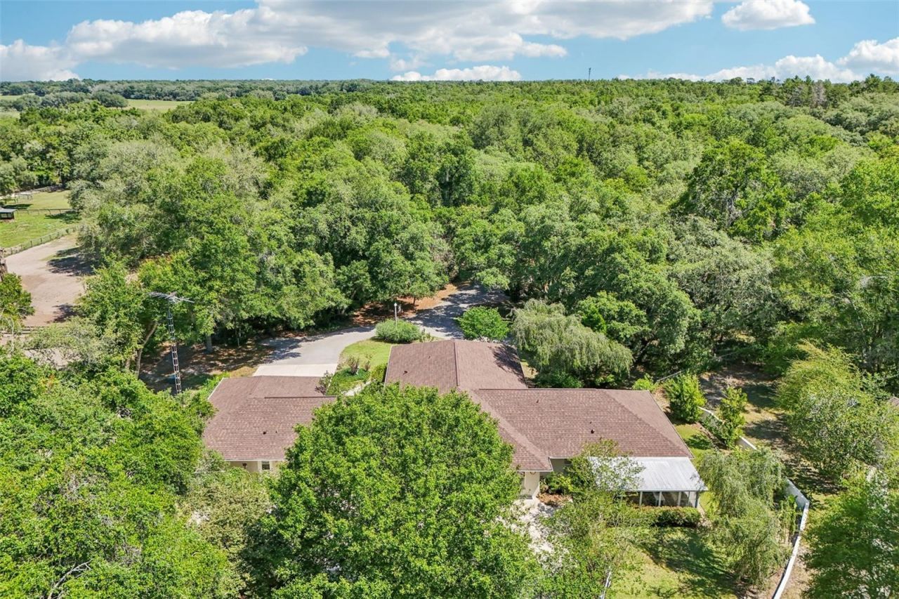 4546 Griffin View Drive, Lady Lake, FL 32159 Photo
