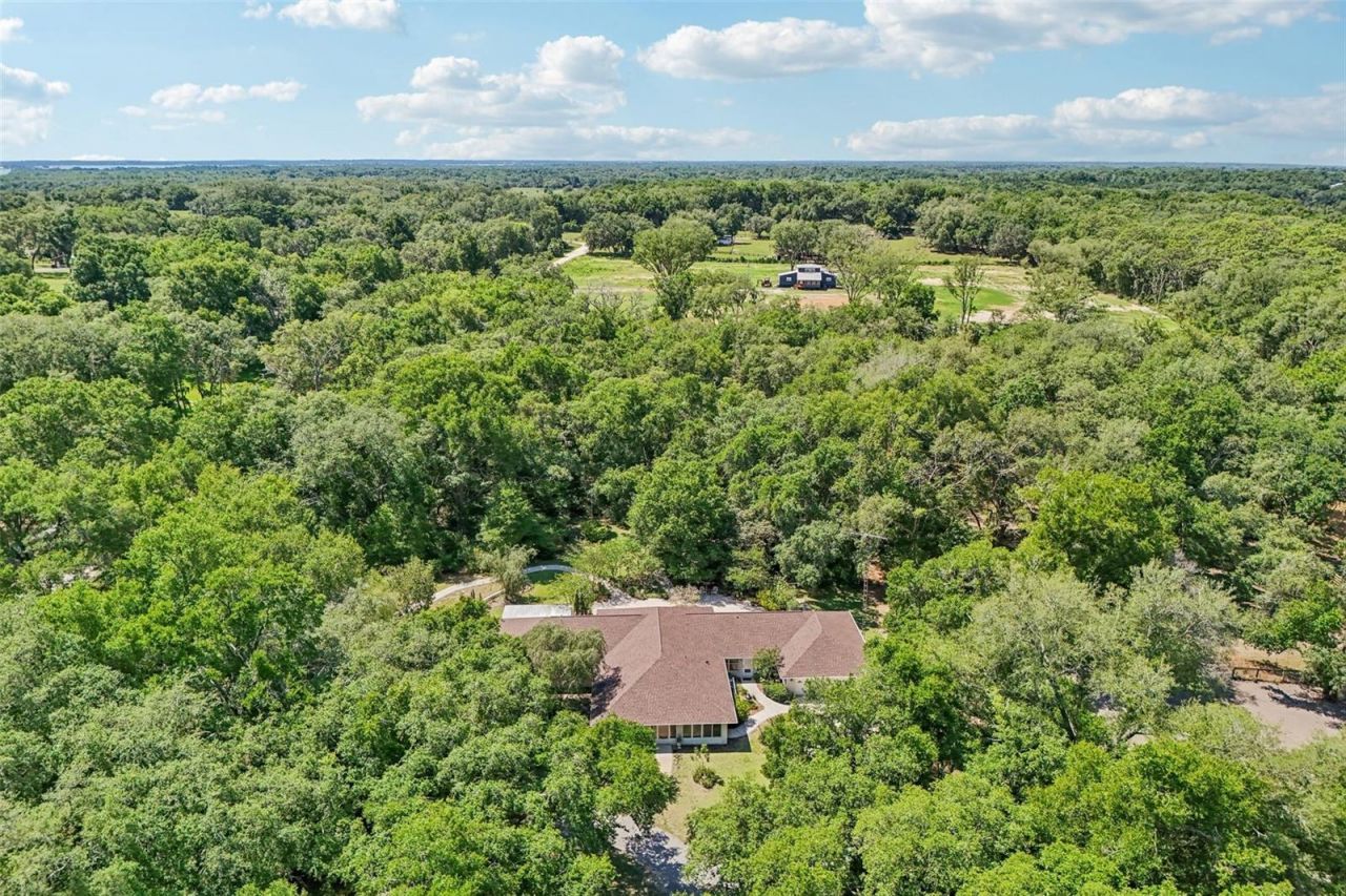 4546 Griffin View Drive, Lady Lake, FL 32159 Photo