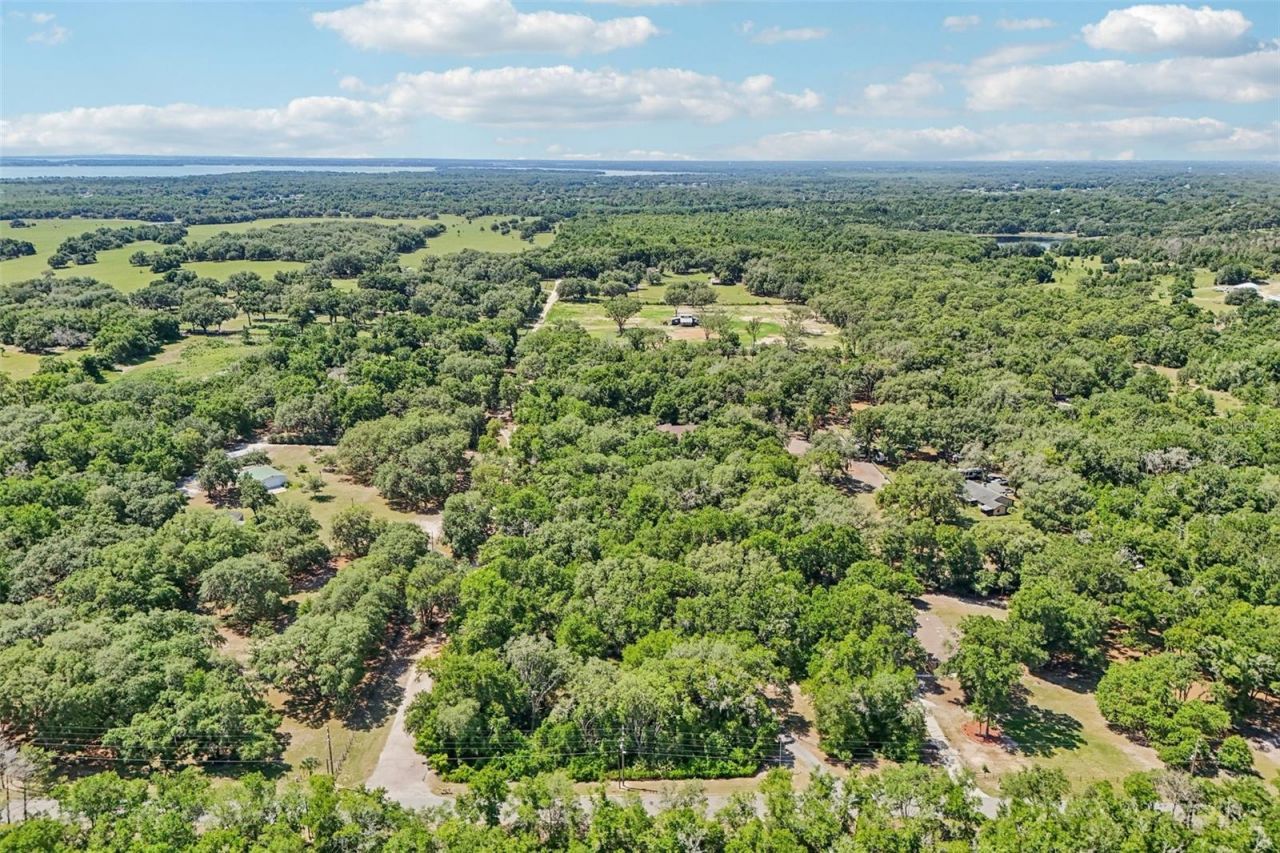 4546 Griffin View Drive, Lady Lake, FL 32159 Photo
