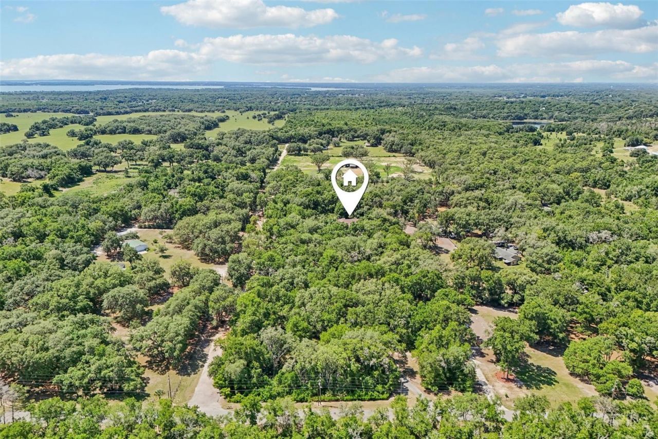4546 Griffin View Drive, Lady Lake, FL 32159 Photo